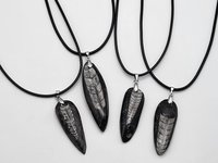 Silver Orthoceras Necklace