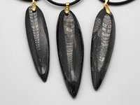 Gold Orthoceras Necklace