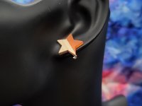 Neon Pink Wooden Star Earrings