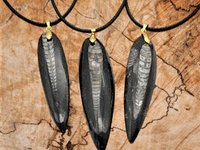 Gold Orthoceras Necklace