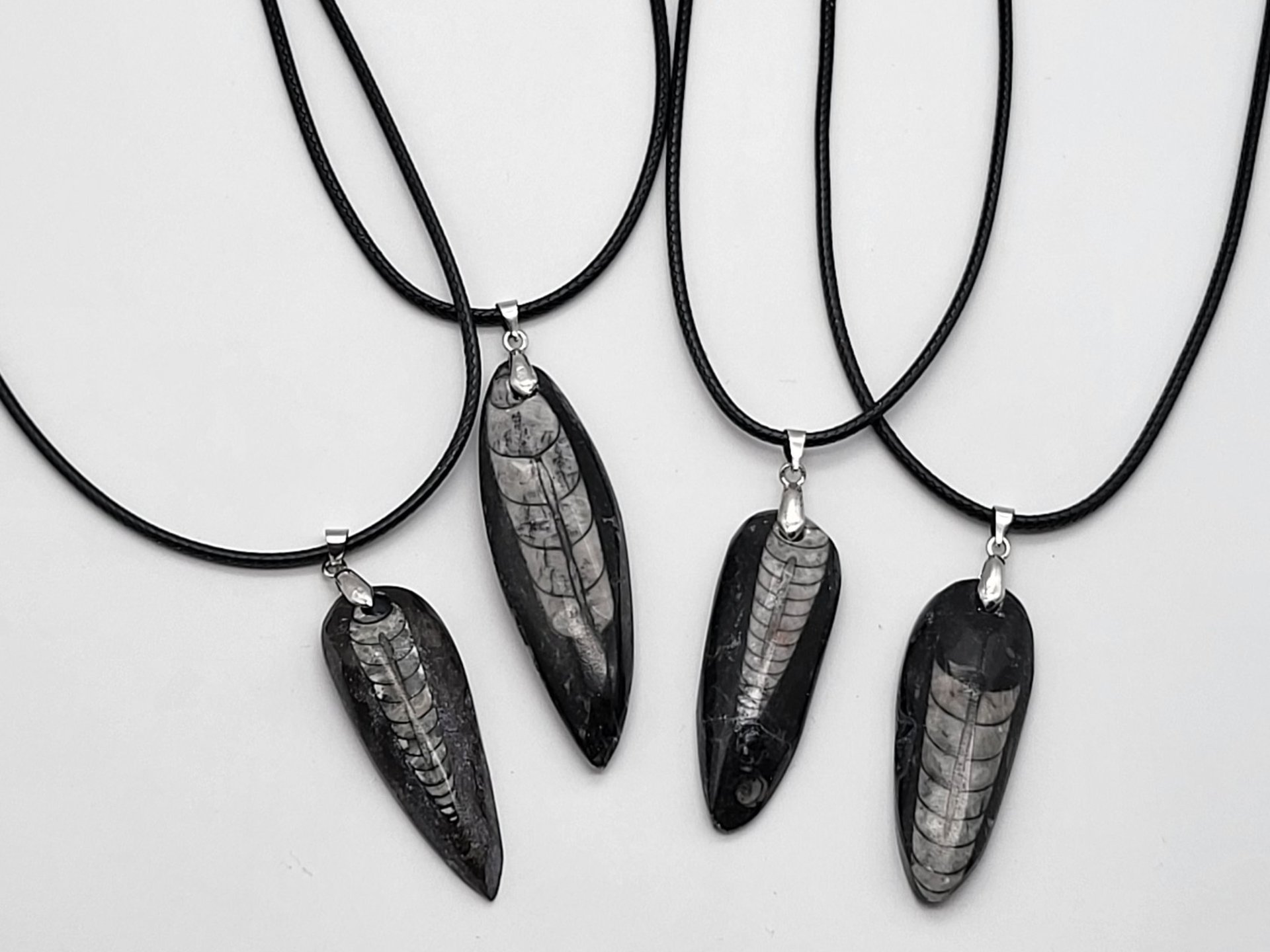 Silver Orthoceras Necklace