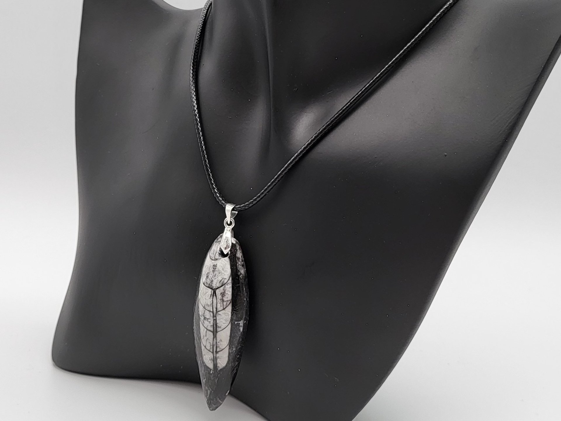 Silver Orthoceras Necklace