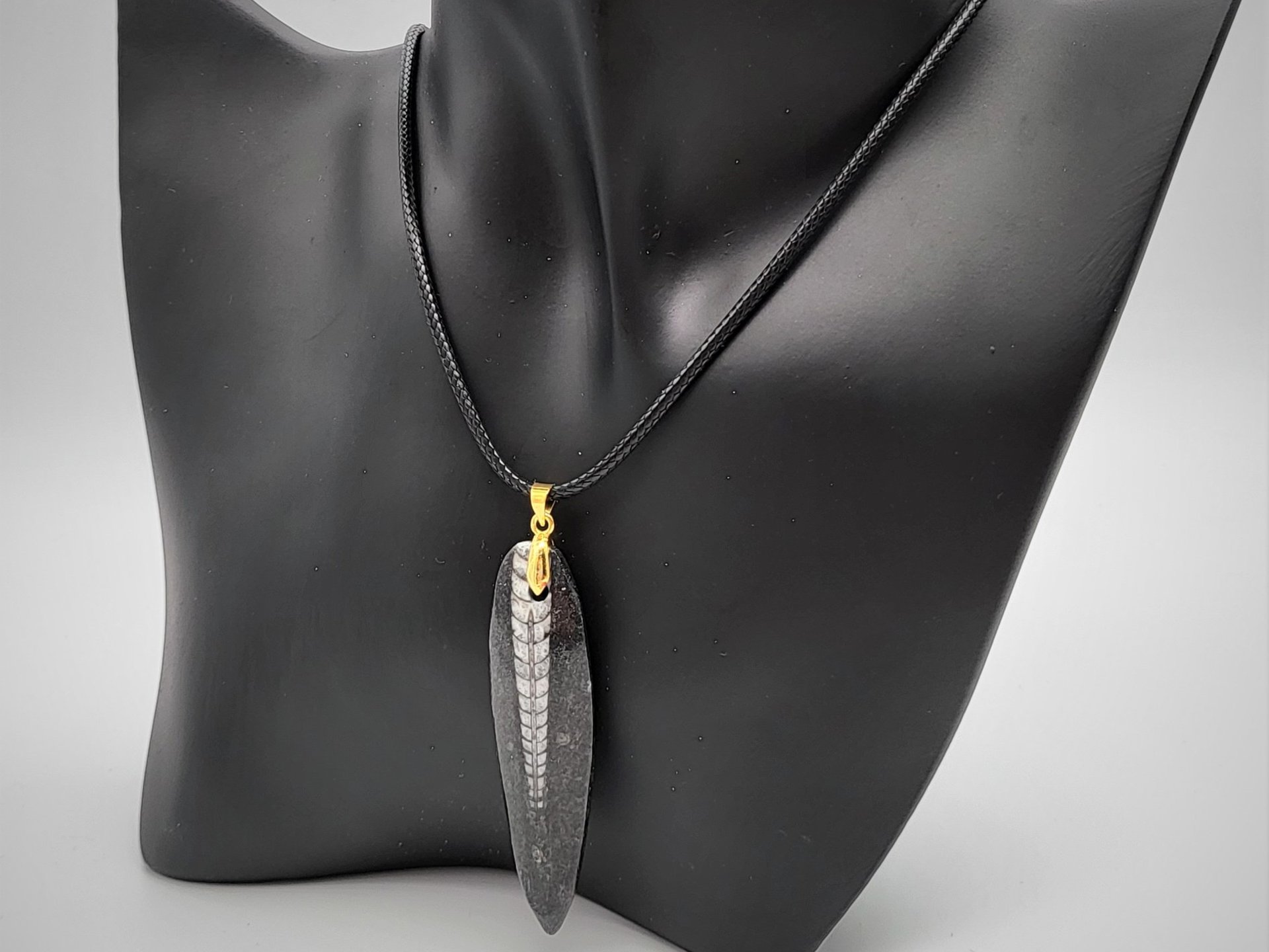 Gold Orthoceras Necklace