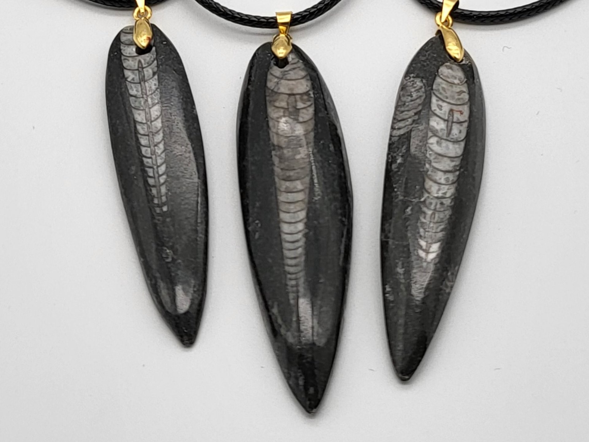 Gold Orthoceras Necklace