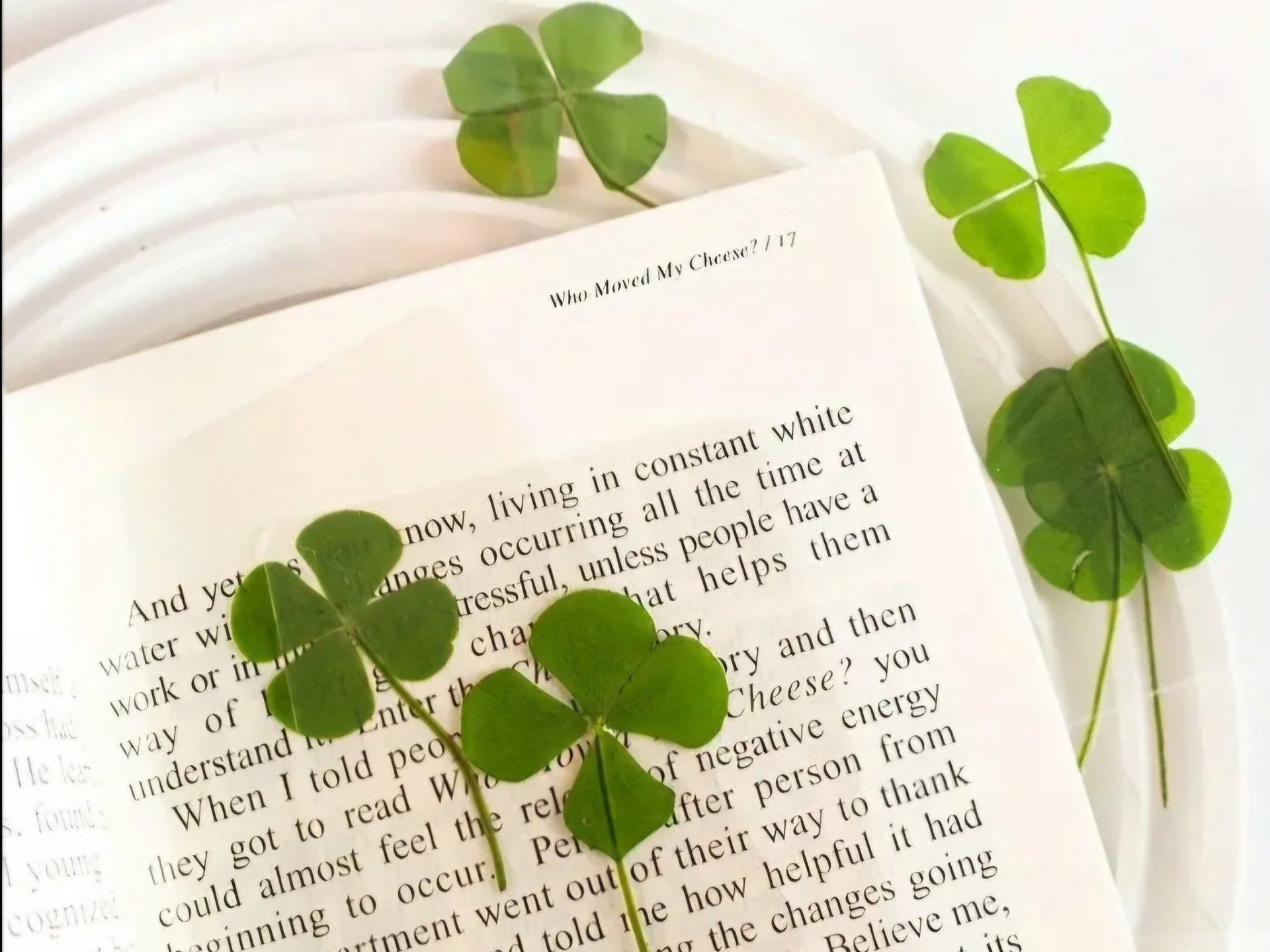 Lucky Clover