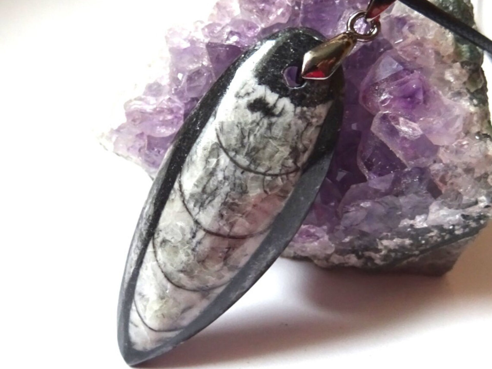 Silver Orthoceras Necklace