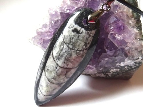 Silver Orthoceras Necklace